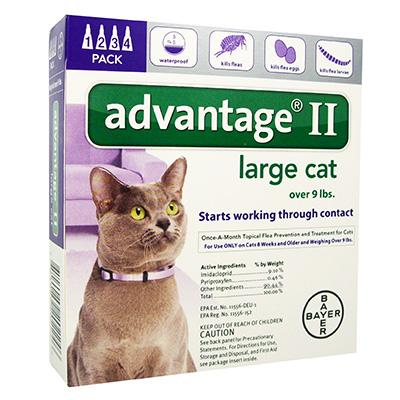Advantage II for Cats - 4 months