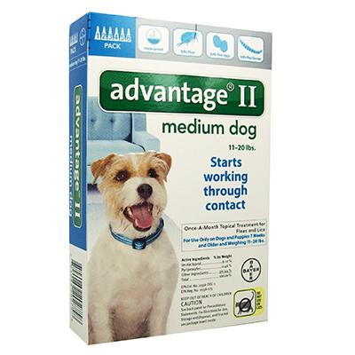Advantage II for Dogs - 6 months