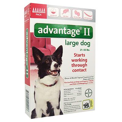 Advantage II for Dogs - 6 months