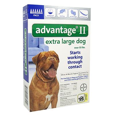 Advantage II for Dogs - 6 months