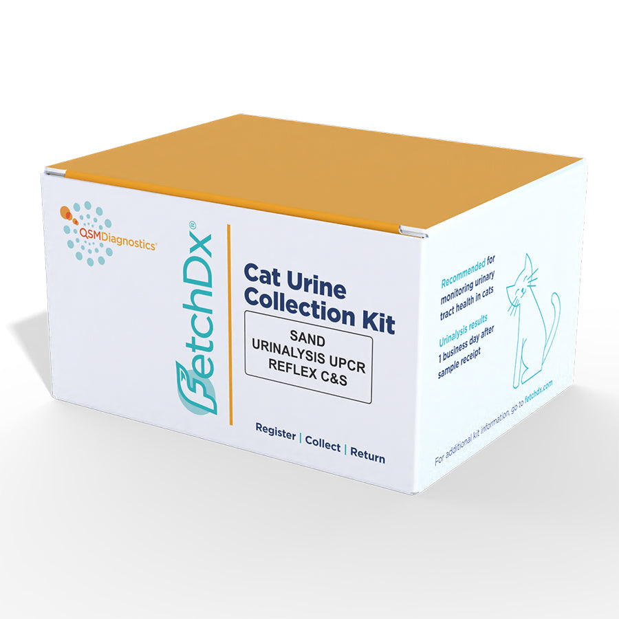 Cat Urinalysis with Reflex Culture & Sensitivity Kit