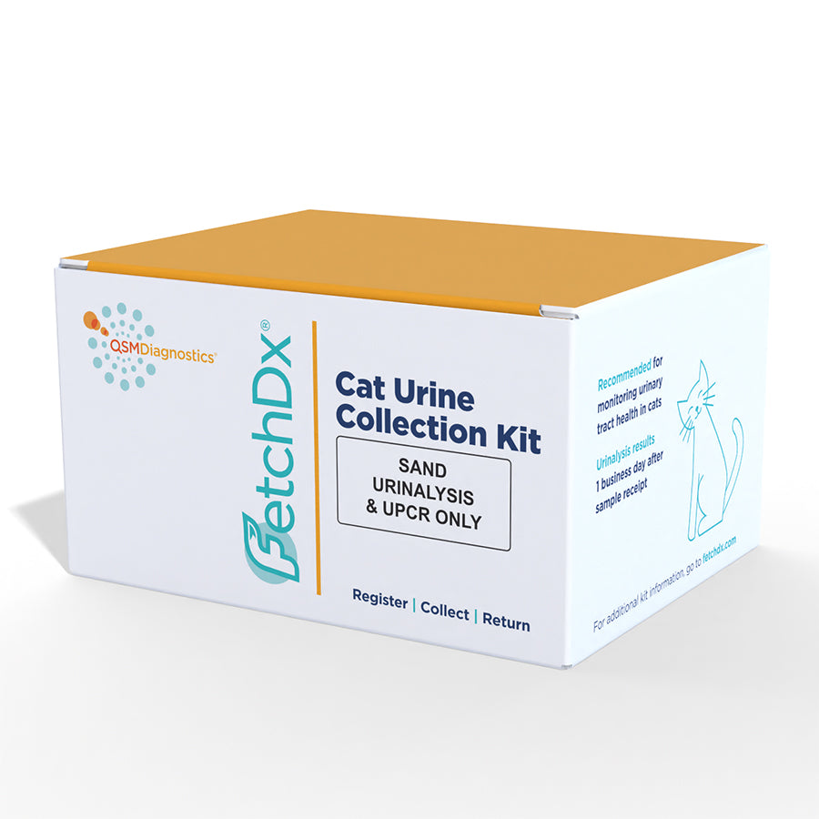 Cat Urinalysis Wellness Kit (UA with sedimentation analysis and UPCR)