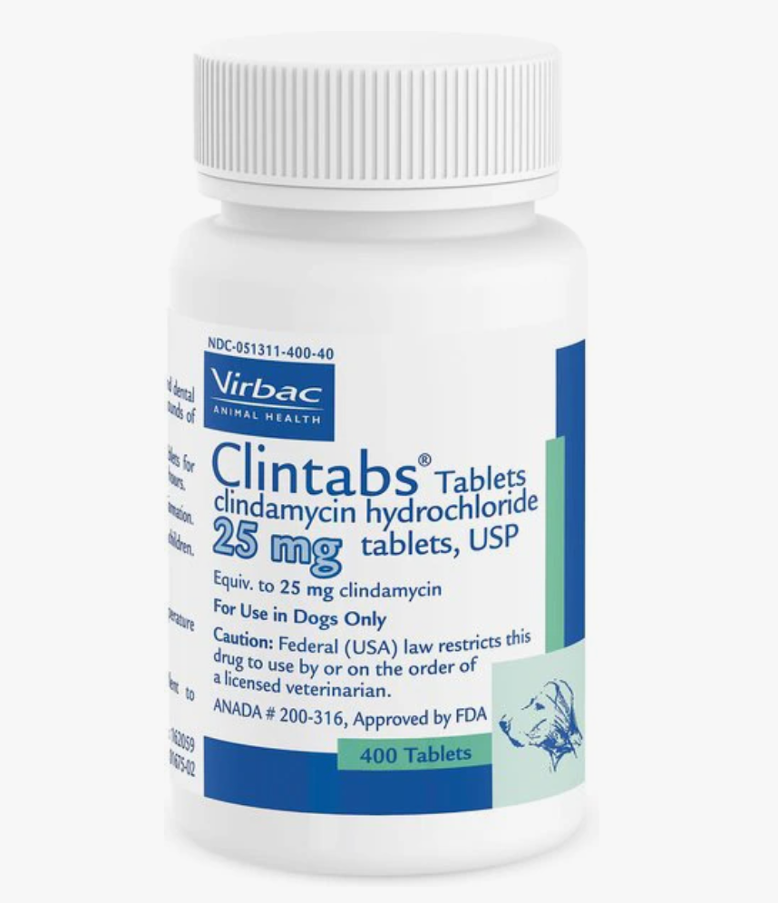 Clintabs (Clindamycin HCl) (Rx)
