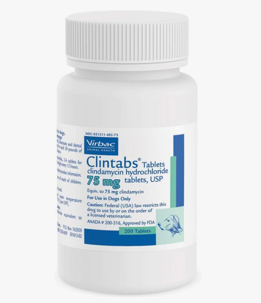 Clintabs (Clindamycin HCl) (Rx)